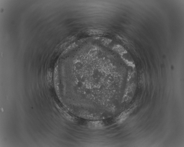 X0000062640281200601111134