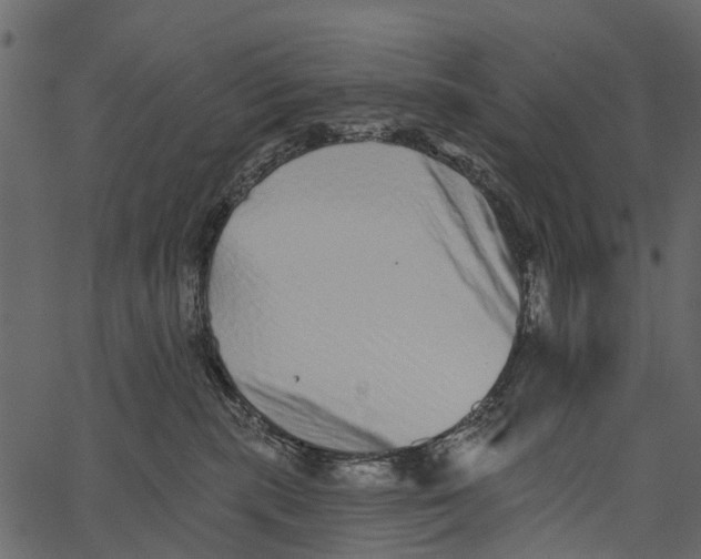 X0000062640283200601111134