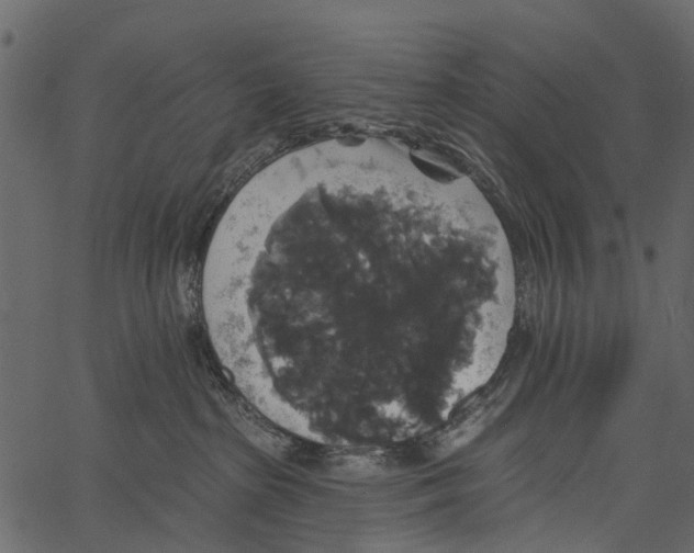 X0000062640285200601111134