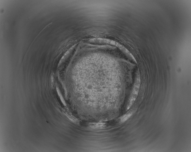 X0000062640288200601111134