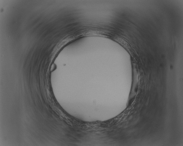 X0000062640289200601111133