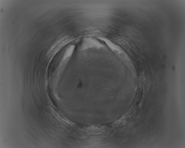 X0000062640290200601111133