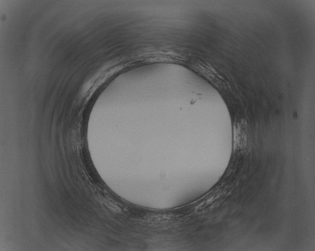 X0000062640291200601111133