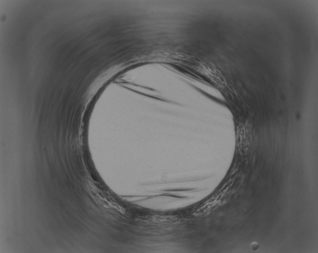 X0000062640292200601111133