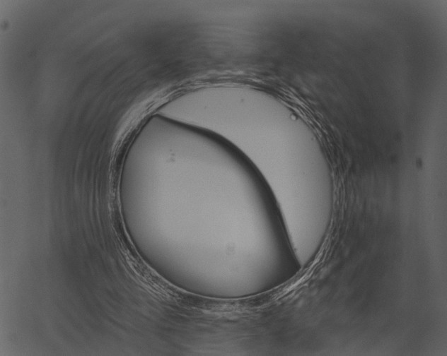 X0000062640293200601111133