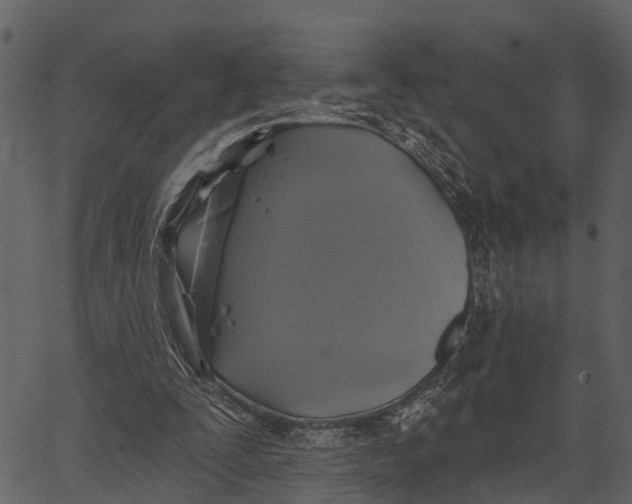 X0000062640295200601111133