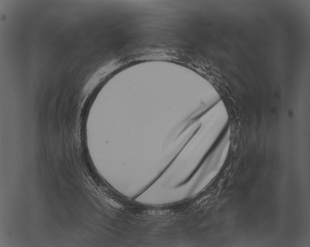 X0000062640296200601111133