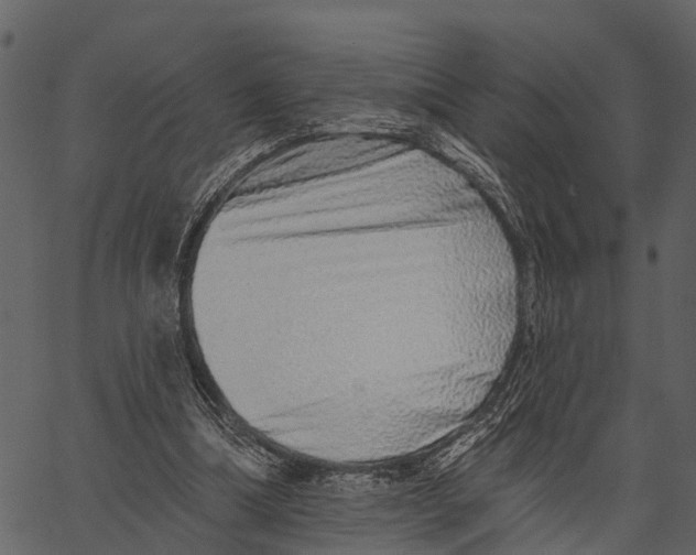 X0000062640298200601111133