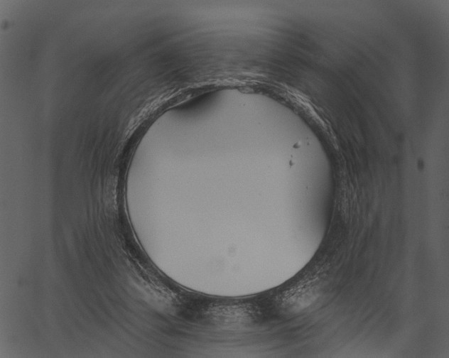 X0000062640299200601111133