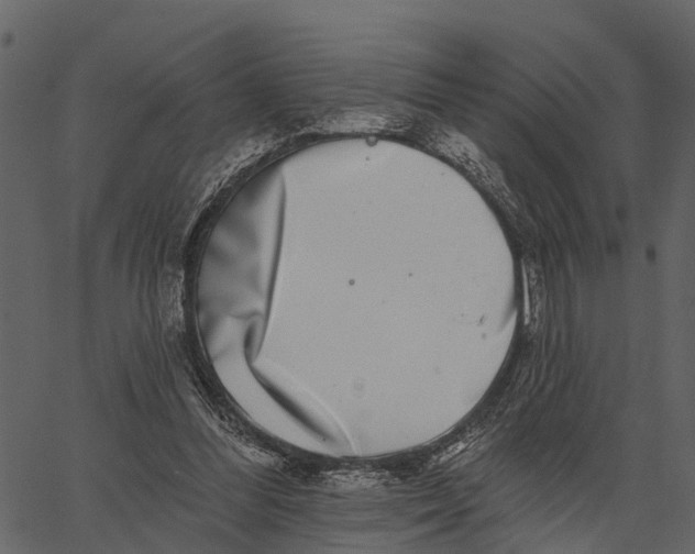 X0000062640300200601111133