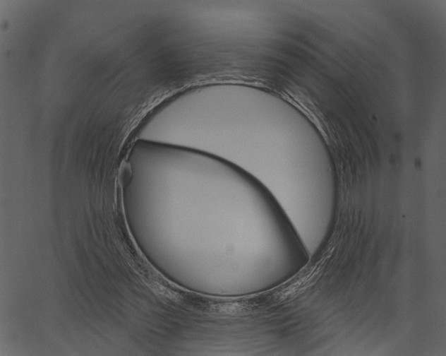 X0000062640301200601111133