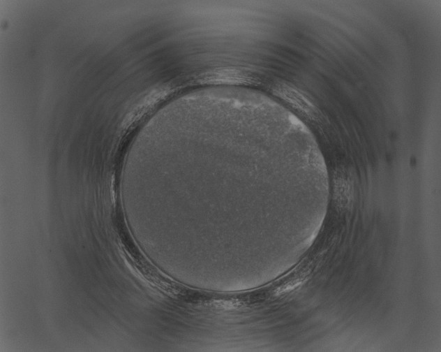 X0000062640302200601111133