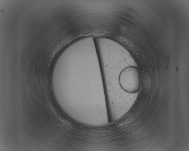 X0000062640303200601111133