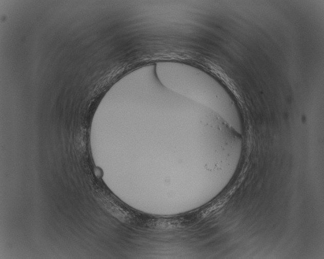 X0000062640305200601111133