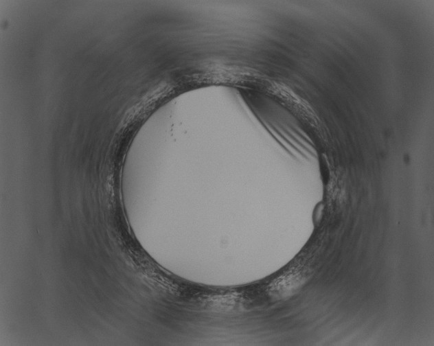 X0000062640306200601111133