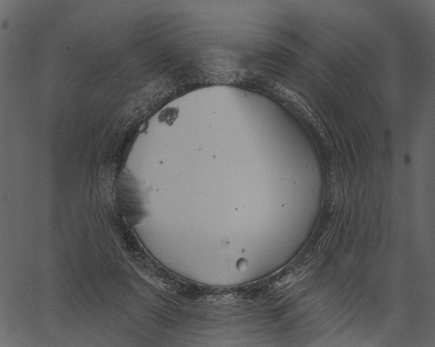 X0000062640307200601111133