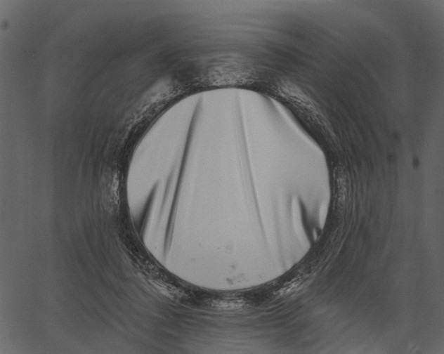 X0000062640308200601111133