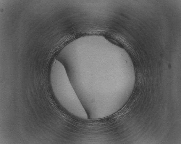 X0000062640309200601111133