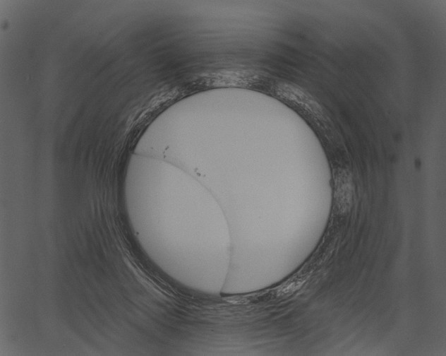 X0000062640310200601111133