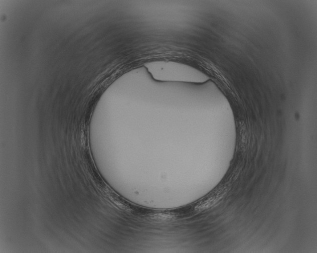 X0000062640313200601111133