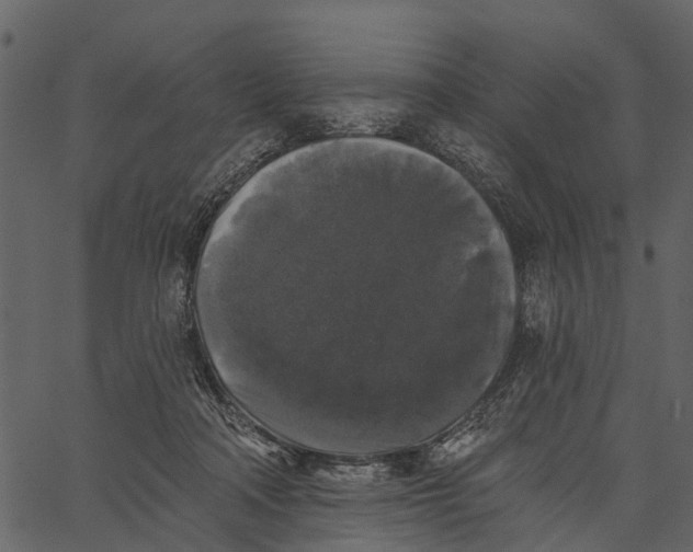 X0000062640314200601111132