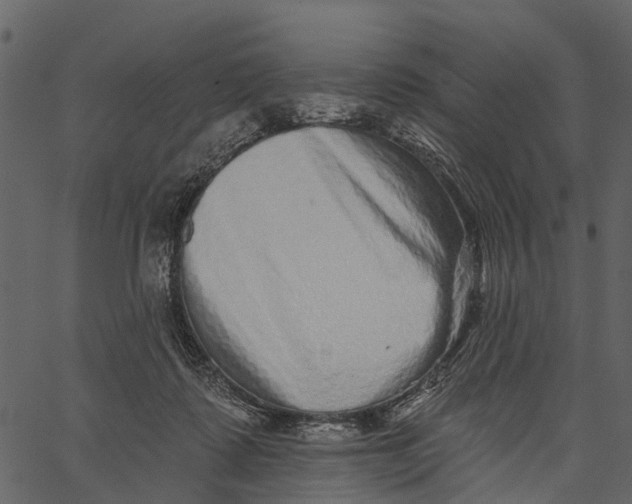 X0000062640315200601111132