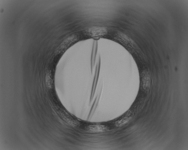 X0000062640316200601111132