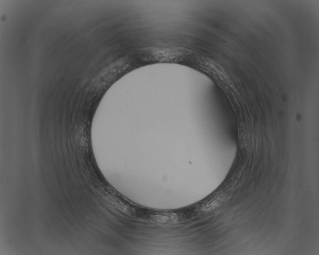 X0000062640317200601111132