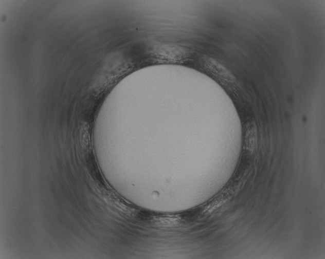 X0000062640318200601111132