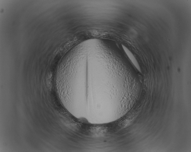 X0000062640319200601111132