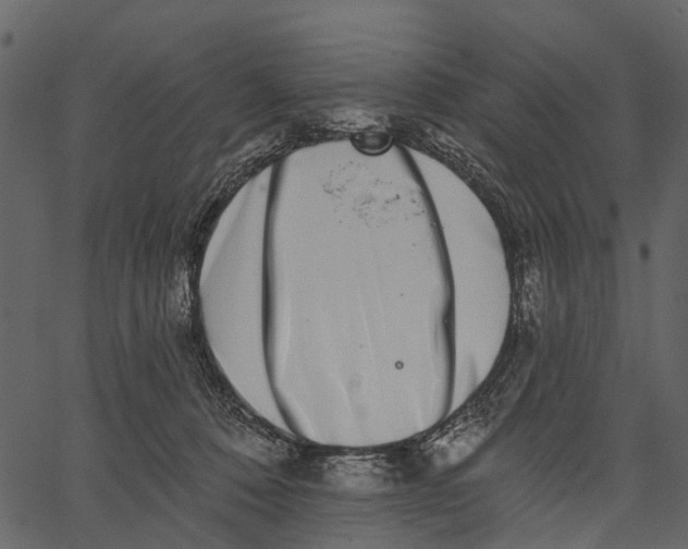 X0000062640320200601111132