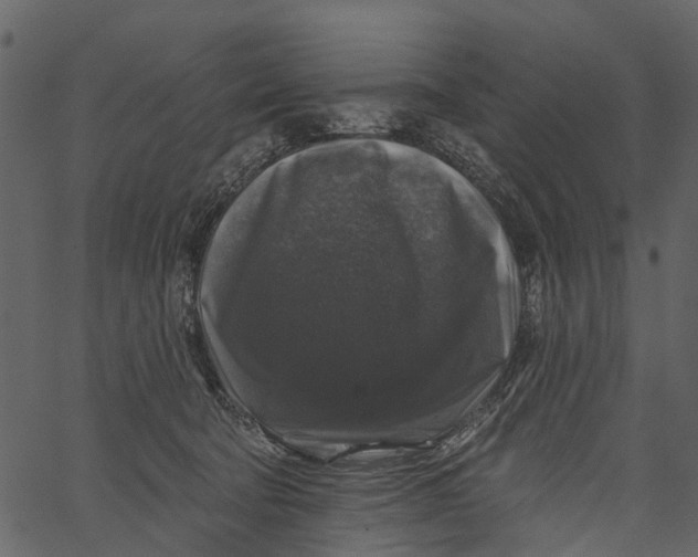 X0000062640322200601111132