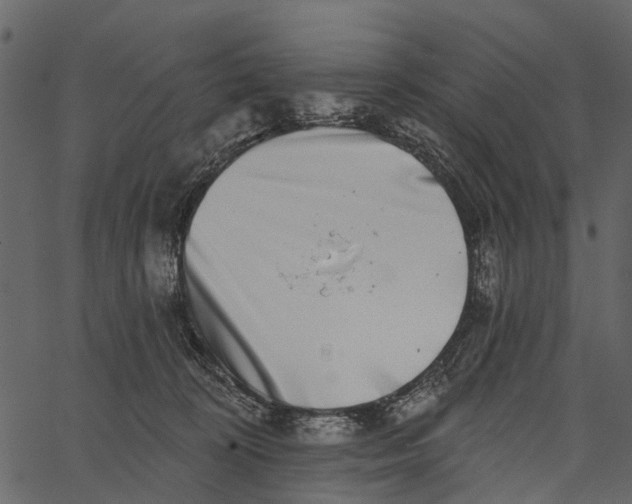 X0000062640324200601111132