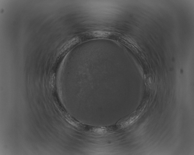 X0000062640325200601111132