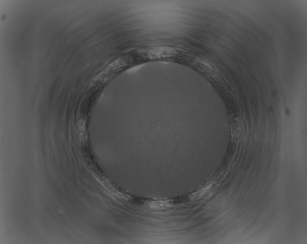 X0000062640327200601111132