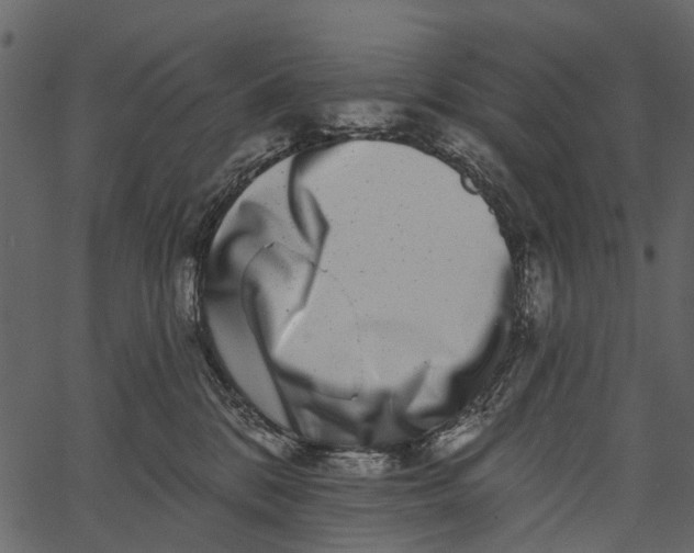 X0000062640328200601111132