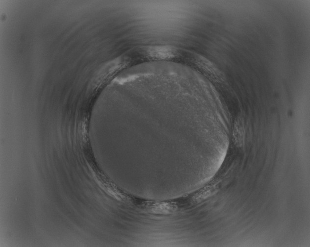 X0000062640330200601111132