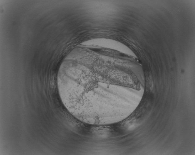 X0000062640331200601111132