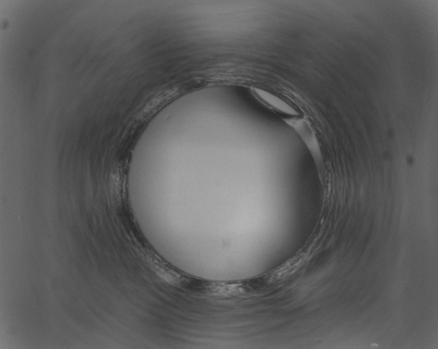 X0000062640333200601111132