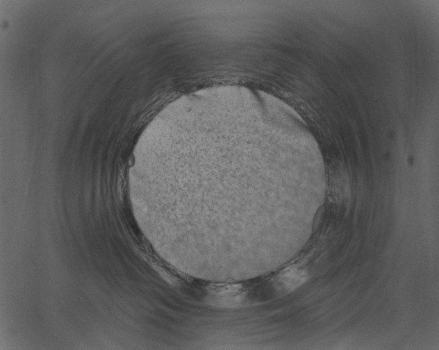 X0000062640334200601111132