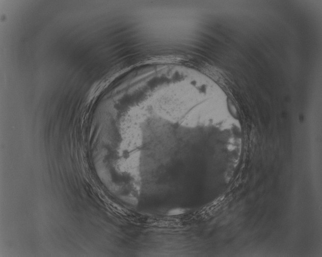 X0000062640337200601111131