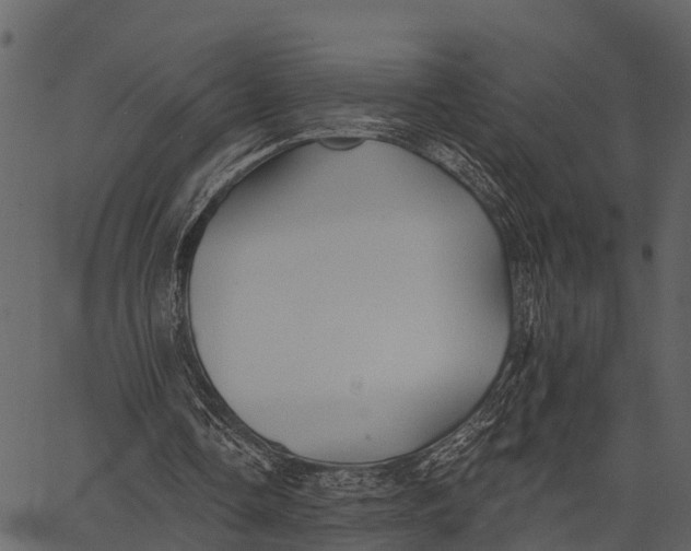 X0000062640338200601111131