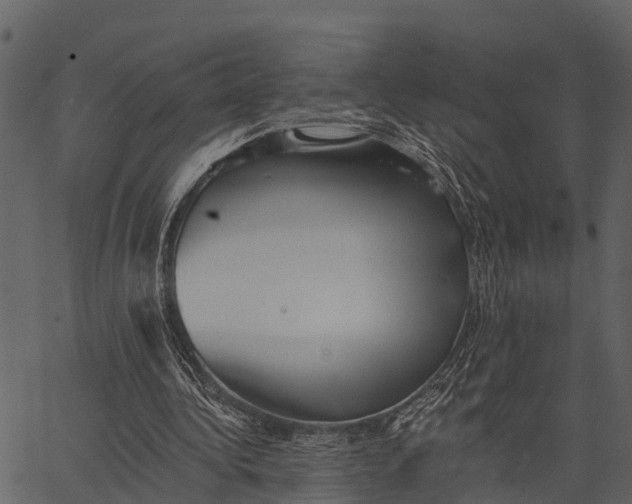 X0000062640340200601111131