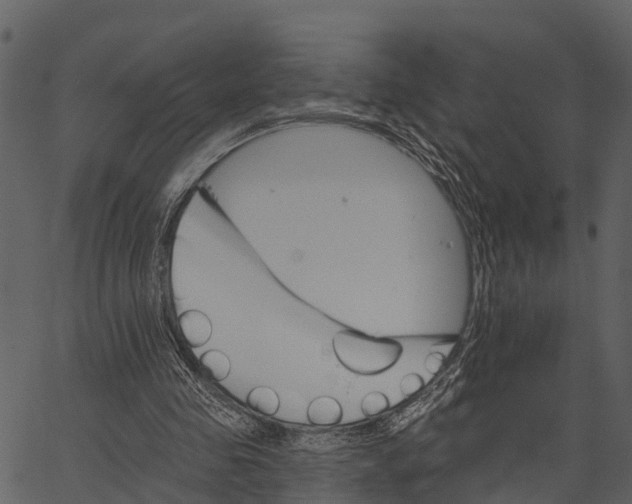 X0000062640341200601111131