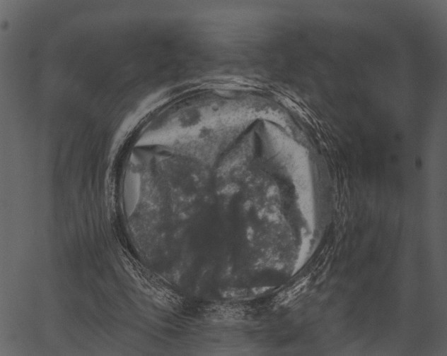 X0000062640343200601111131