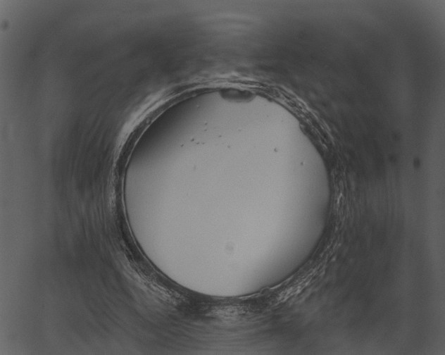 X0000062640344200601111131