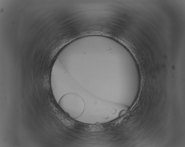 X0000062640345200601111131