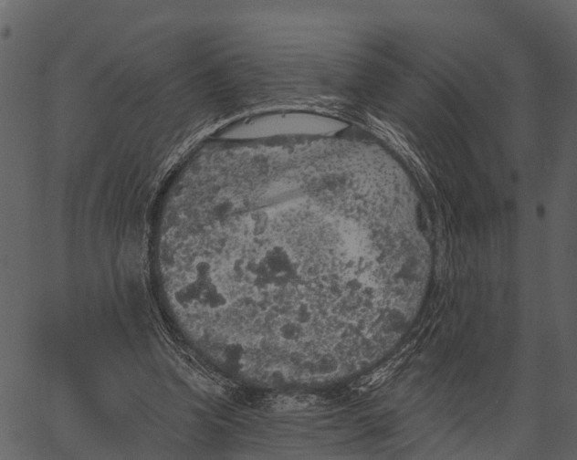 X0000062640346200601111131