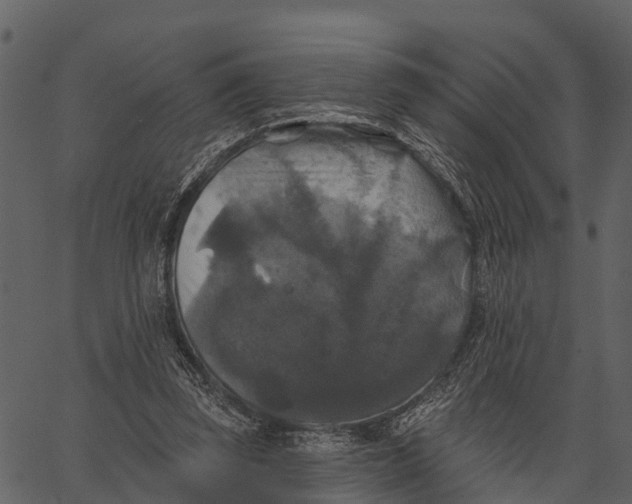 X0000062640347200601111131