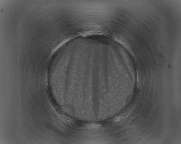 X0000062640348200601111131